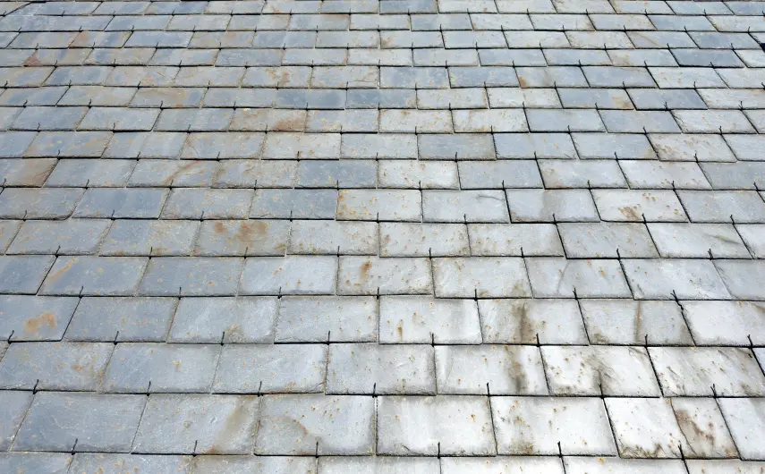 Slate and tile roofing Newport